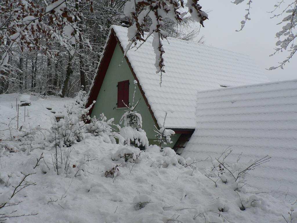 Gite De La Lisiere Du Bois Ueberstrass Room photo